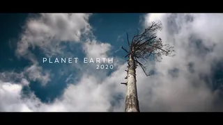 Film Planet Earth 2020: low-angle view of a dead tree against a cloudy blue sky, film title on screen
